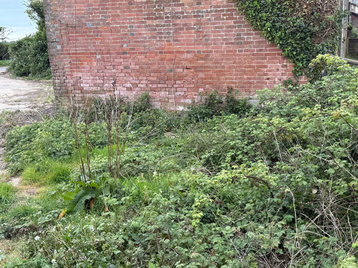 Farm yard before clearance