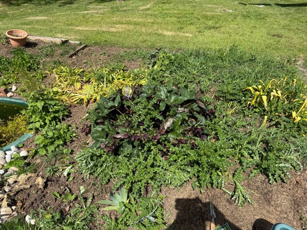 Garden bed with pond feature