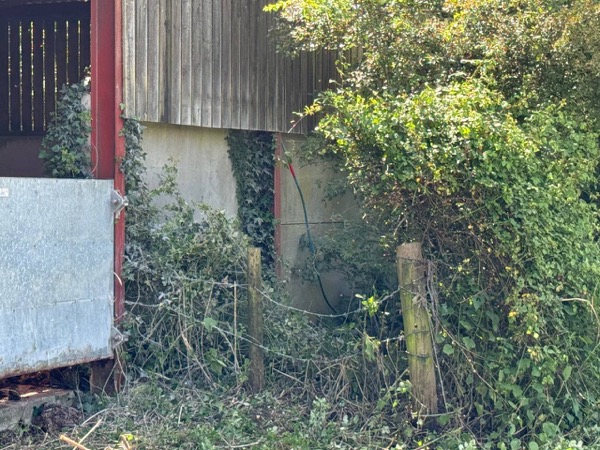 Shed and boundary area