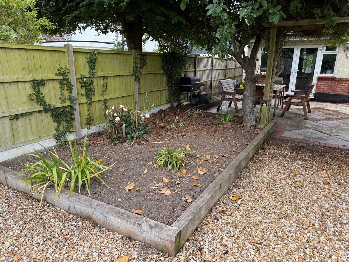 Garden after clearance
